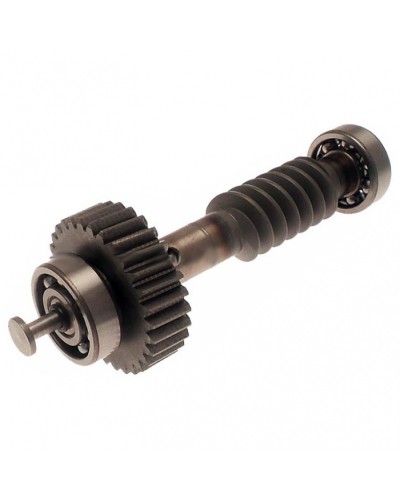 Червяк редуктора FAST в сборе Came 119RID228 в Северодвинске Запчасти для шлагбаумов и автоматики Pintop.ru