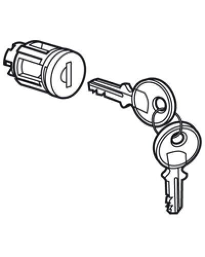 Цилиндр встроенный под ключ №405 Legrand 020291 в Северодвинске Дополнительное оборудование для сетей Pintop.ru