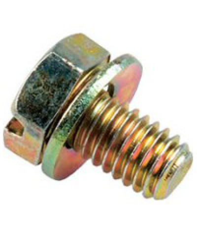 Винт с шайбой М6х10мм TH Legrand 036775 в Северодвинске Крепеж Pintop.ru